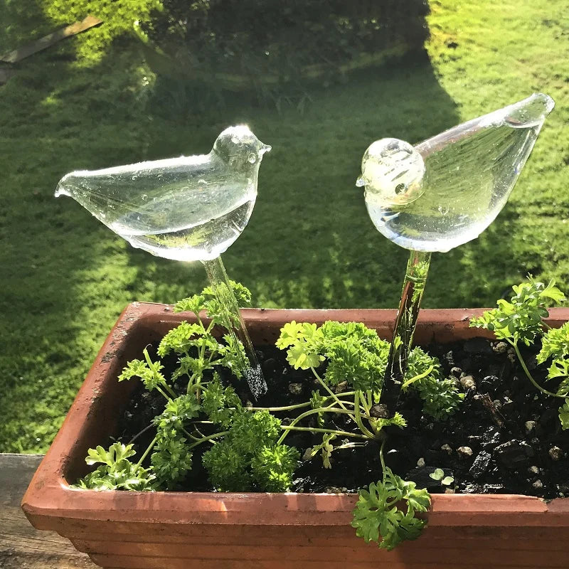 Birdie Watering Bulb™ (1+1 Gratis)
